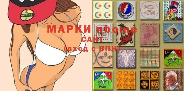 прущие грибы Балахна