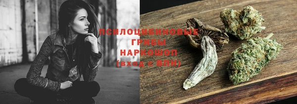 не бодяженный Арсеньев