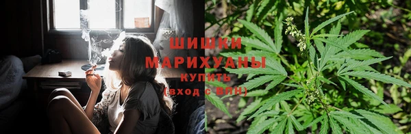 ГАЛЛЮЦИНОГЕННЫЕ ГРИБЫ Алексеевка