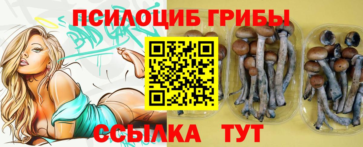 Галлюциногенные грибы GOLDEN TEACHER Саки